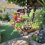 Site Paradis Rue Colibri