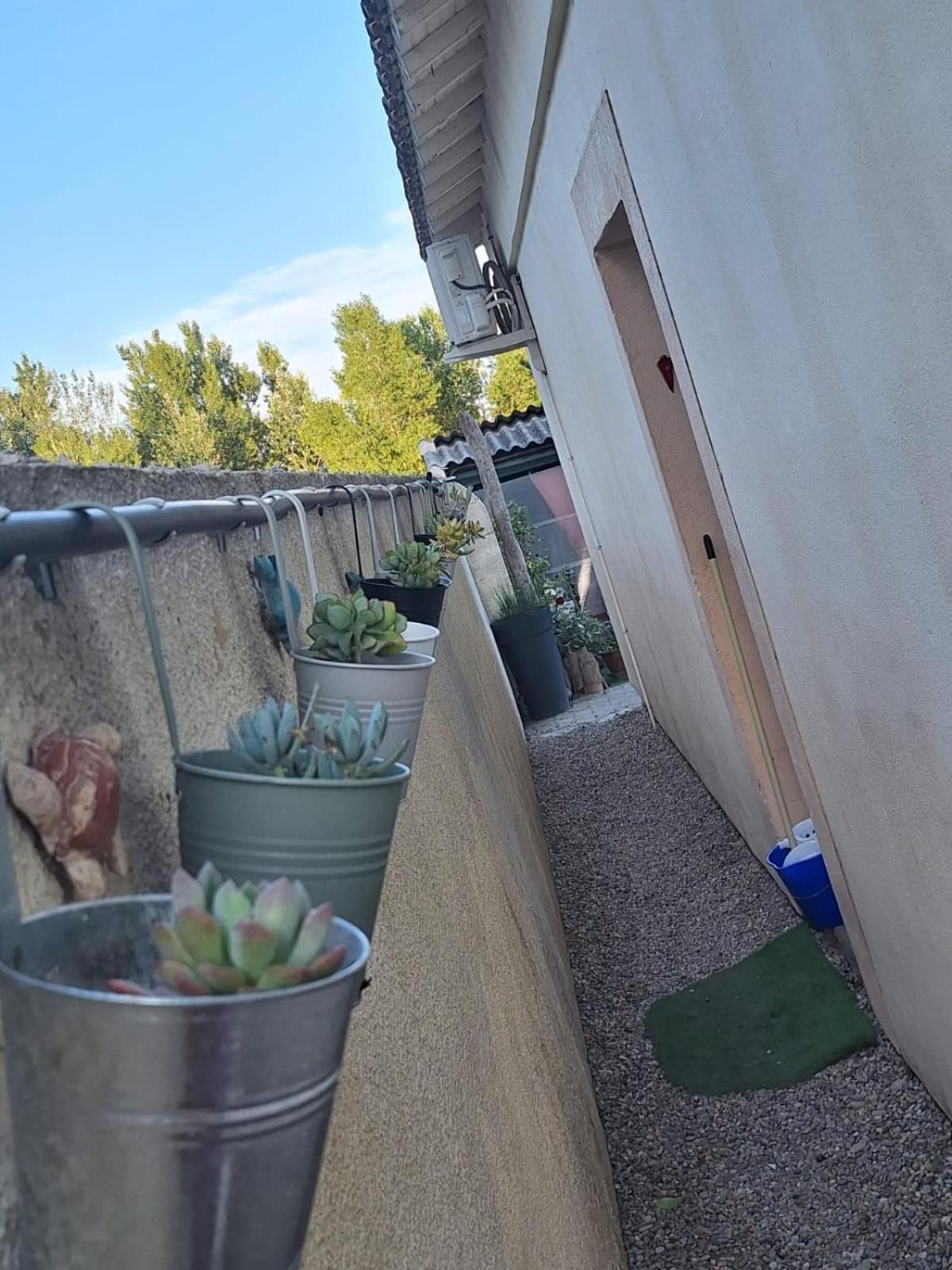 Site Paradis Rue Colibri Appartement *